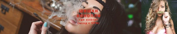 ПСИЛОЦИБИНОВЫЕ ГРИБЫ Алзамай