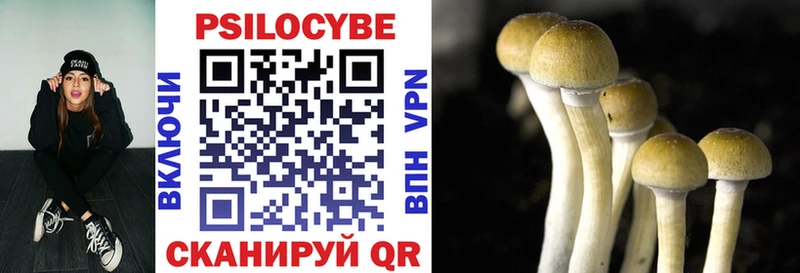 магазин наркотиков Нестеров Псилоцибиновые грибы MAGIC MUSHROOMS