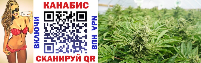 Шишки марихуана SATIVA & INDICA  где купить наркоту  Нестеров 